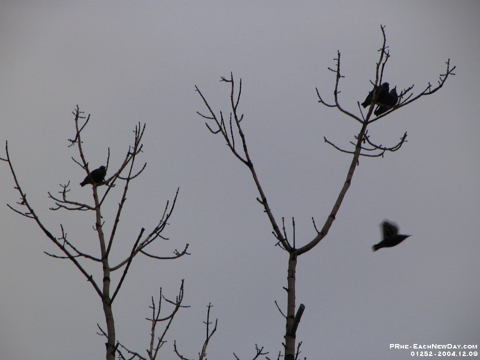 01252Re - Flight, at Altamont